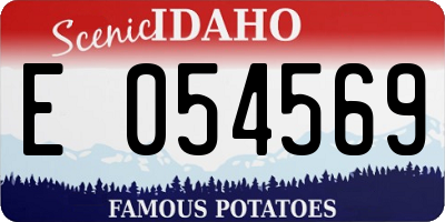 ID license plate E054569