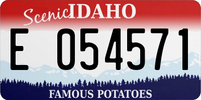 ID license plate E054571