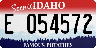 ID license plate E054572