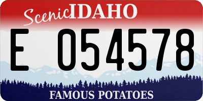 ID license plate E054578