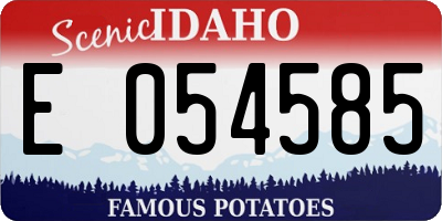 ID license plate E054585