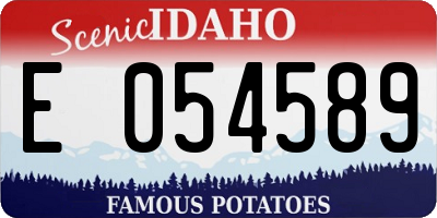 ID license plate E054589