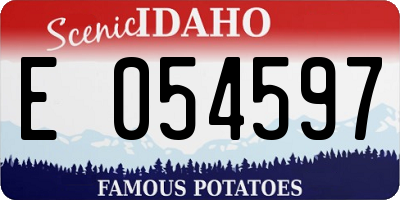 ID license plate E054597