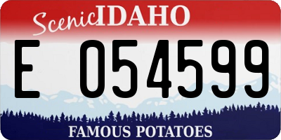 ID license plate E054599
