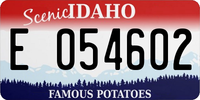 ID license plate E054602