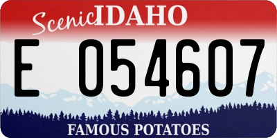 ID license plate E054607