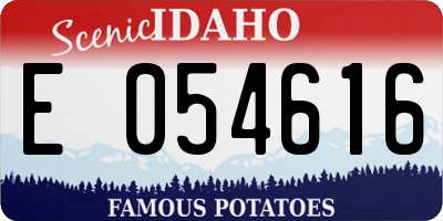 ID license plate E054616