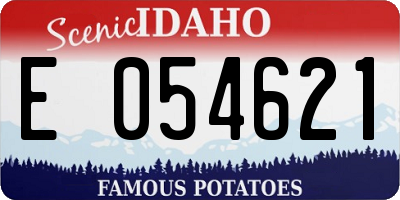 ID license plate E054621