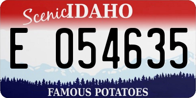 ID license plate E054635