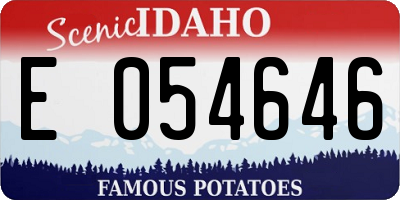 ID license plate E054646