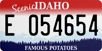 ID license plate E054654