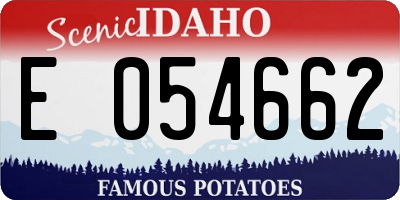 ID license plate E054662