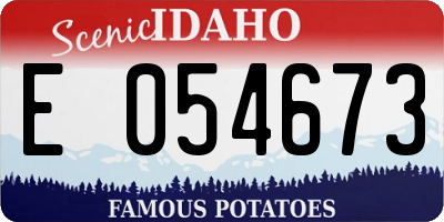 ID license plate E054673
