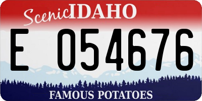 ID license plate E054676