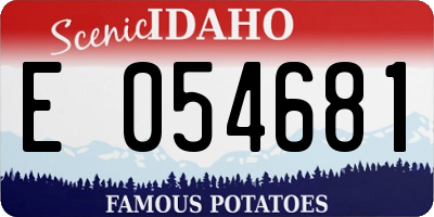 ID license plate E054681