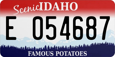 ID license plate E054687
