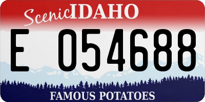ID license plate E054688