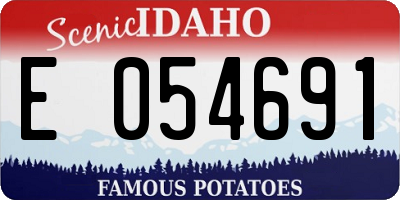 ID license plate E054691