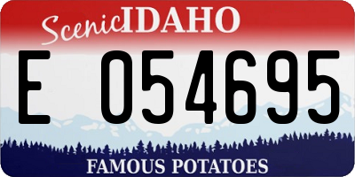 ID license plate E054695