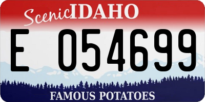 ID license plate E054699