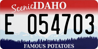 ID license plate E054703