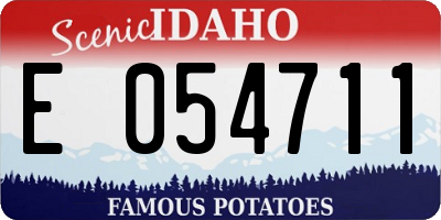 ID license plate E054711