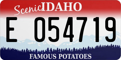 ID license plate E054719