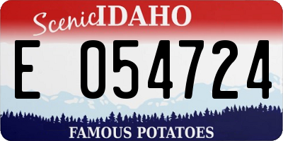 ID license plate E054724
