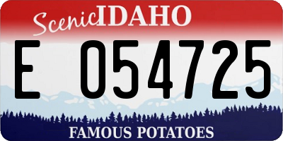 ID license plate E054725