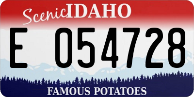 ID license plate E054728