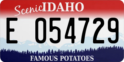 ID license plate E054729