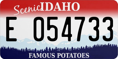 ID license plate E054733