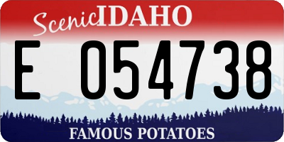ID license plate E054738