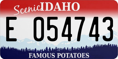ID license plate E054743