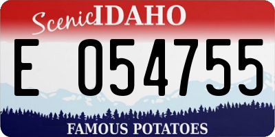 ID license plate E054755