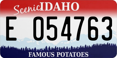 ID license plate E054763