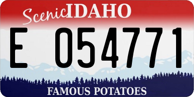 ID license plate E054771
