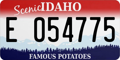 ID license plate E054775