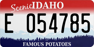 ID license plate E054785
