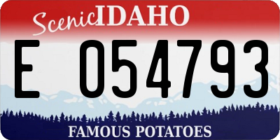 ID license plate E054793