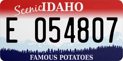 ID license plate E054807