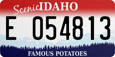 ID license plate E054813