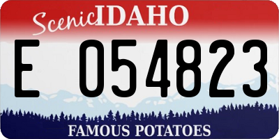 ID license plate E054823