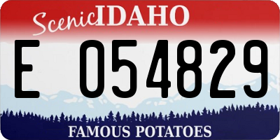ID license plate E054829