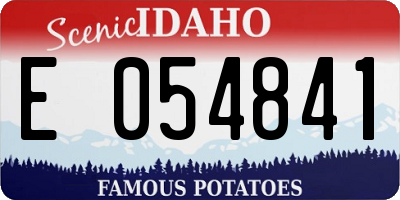 ID license plate E054841