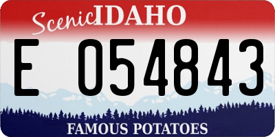 ID license plate E054843