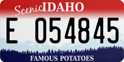 ID license plate E054845