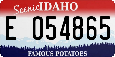 ID license plate E054865