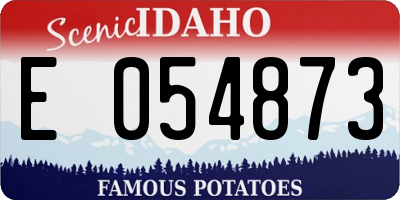 ID license plate E054873