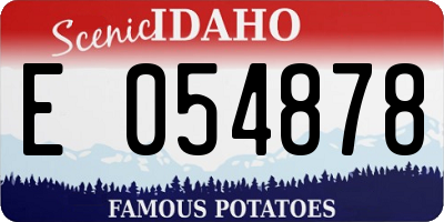 ID license plate E054878